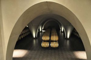 progettazione della cantina dallo sviluppo dell’idea alla realizzazione